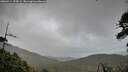 ./images/calvert/fitz-hugh-hecate/20260514/fitz-hugh-hecate20260514_195001M.jpg