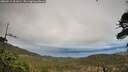 ./images/calvert/fitz-hugh-hecate/20260514/fitz-hugh-hecate20260514_201001M.jpg