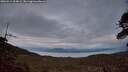 ./images/calvert/fitz-hugh-hecate/20260514/fitz-hugh-hecate20260514_214001M.jpg