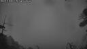 ./images/calvert/fitz-hugh-hecate/20260515/fitz-hugh-hecate20260515_050001M.jpg