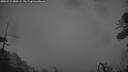 ./images/calvert/fitz-hugh-hecate/20260515/fitz-hugh-hecate20260515_050502M.jpg