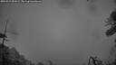 ./images/calvert/fitz-hugh-hecate/20260515/fitz-hugh-hecate20260515_051001M.jpg