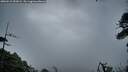 ./images/calvert/fitz-hugh-hecate/20260515/fitz-hugh-hecate20260515_053001M.jpg