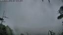 ./images/calvert/fitz-hugh-hecate/20260515/fitz-hugh-hecate20260515_055501M.jpg