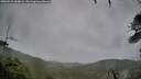 ./images/calvert/fitz-hugh-hecate/20260515/fitz-hugh-hecate20260515_060001M.jpg