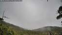 ./images/calvert/fitz-hugh-hecate/20260515/fitz-hugh-hecate20260515_072501M.jpg