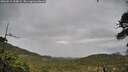 ./images/calvert/fitz-hugh-hecate/20260515/fitz-hugh-hecate20260515_090002M.jpg