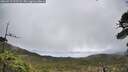 ./images/calvert/fitz-hugh-hecate/20260515/fitz-hugh-hecate20260515_122501M.jpg