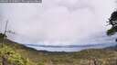 ./images/calvert/fitz-hugh-hecate/20260515/fitz-hugh-hecate20260515_125001M.jpg