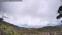 ./images/calvert/fitz-hugh-hecate/20260515/fitz-hugh-hecate20260515_131001M.jpg