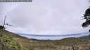 ./images/calvert/fitz-hugh-hecate/20260515/fitz-hugh-hecate20260515_134002M.jpg
