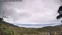 ./images/calvert/fitz-hugh-hecate/20260515/fitz-hugh-hecate20260515_135002M.jpg