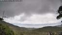 ./images/calvert/fitz-hugh-hecate/20260515/fitz-hugh-hecate20260515_141502M.jpg