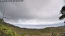 ./images/calvert/fitz-hugh-hecate/20260515/fitz-hugh-hecate20260515_142501M.jpg