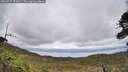 ./images/calvert/fitz-hugh-hecate/20260515/fitz-hugh-hecate20260515_151001M.jpg