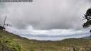 ./images/calvert/fitz-hugh-hecate/20260515/fitz-hugh-hecate20260515_154501M.jpg