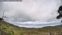 ./images/calvert/fitz-hugh-hecate/20260515/fitz-hugh-hecate20260515_155002M.jpg