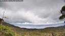 ./images/calvert/fitz-hugh-hecate/20260515/fitz-hugh-hecate20260515_155501M.jpg
