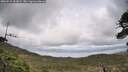 ./images/calvert/fitz-hugh-hecate/20260515/fitz-hugh-hecate20260515_161001M.jpg
