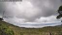 ./images/calvert/fitz-hugh-hecate/20260515/fitz-hugh-hecate20260515_162002M.jpg