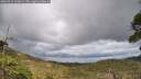 ./images/calvert/fitz-hugh-hecate/20260515/fitz-hugh-hecate20260515_163001M.jpg