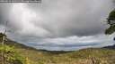 ./images/calvert/fitz-hugh-hecate/20260515/fitz-hugh-hecate20260515_163501M.jpg