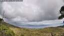 ./images/calvert/fitz-hugh-hecate/20260515/fitz-hugh-hecate20260515_164002M.jpg