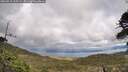 ./images/calvert/fitz-hugh-hecate/20260515/fitz-hugh-hecate20260515_165502M.jpg