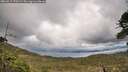 ./images/calvert/fitz-hugh-hecate/20260515/fitz-hugh-hecate20260515_170501M.jpg