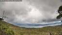 ./images/calvert/fitz-hugh-hecate/20260515/fitz-hugh-hecate20260515_171001M.jpg