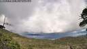 ./images/calvert/fitz-hugh-hecate/20260515/fitz-hugh-hecate20260515_174002M.jpg