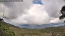 ./images/calvert/fitz-hugh-hecate/20260515/fitz-hugh-hecate20260515_175501M.jpg