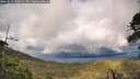 ./images/calvert/fitz-hugh-hecate/20260515/fitz-hugh-hecate20260515_190001M.jpg