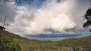 ./images/calvert/fitz-hugh-hecate/20260515/fitz-hugh-hecate20260515_190501M.jpg