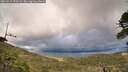 ./images/calvert/fitz-hugh-hecate/20260515/fitz-hugh-hecate20260515_191502M.jpg