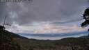 ./images/calvert/fitz-hugh-hecate/20260515/fitz-hugh-hecate20260515_214001M.jpg