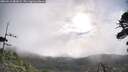 ./images/calvert/fitz-hugh-hecate/20260516/fitz-hugh-hecate20260516_081002M.jpg