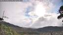 ./images/calvert/fitz-hugh-hecate/20260516/fitz-hugh-hecate20260516_081501M.jpg