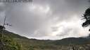 ./images/calvert/fitz-hugh-hecate/20260516/fitz-hugh-hecate20260516_084501M.jpg