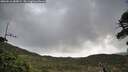 ./images/calvert/fitz-hugh-hecate/20260516/fitz-hugh-hecate20260516_085002M.jpg