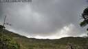 ./images/calvert/fitz-hugh-hecate/20260516/fitz-hugh-hecate20260516_085501M.jpg