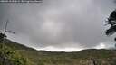 ./images/calvert/fitz-hugh-hecate/20260516/fitz-hugh-hecate20260516_090001M.jpg
