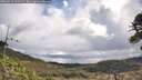./images/calvert/fitz-hugh-hecate/20260516/fitz-hugh-hecate20260516_100502M.jpg