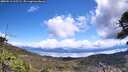 ./images/calvert/fitz-hugh-hecate/20260516/fitz-hugh-hecate20260516_125501M.jpg