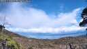 ./images/calvert/fitz-hugh-hecate/20260516/fitz-hugh-hecate20260516_145001M.jpg