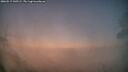 ./images/calvert/fitz-hugh-hecate/20260517/fitz-hugh-hecate20260517_045501M.jpg