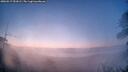 ./images/calvert/fitz-hugh-hecate/20260517/fitz-hugh-hecate20260517_051001M.jpg