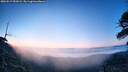 ./images/calvert/fitz-hugh-hecate/20260517/fitz-hugh-hecate20260517_052002M.jpg