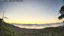 ./images/calvert/fitz-hugh-hecate/20260517/fitz-hugh-hecate20260517_054001M.jpg