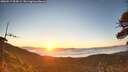 ./images/calvert/fitz-hugh-hecate/20260517/fitz-hugh-hecate20260517_055001M.jpg